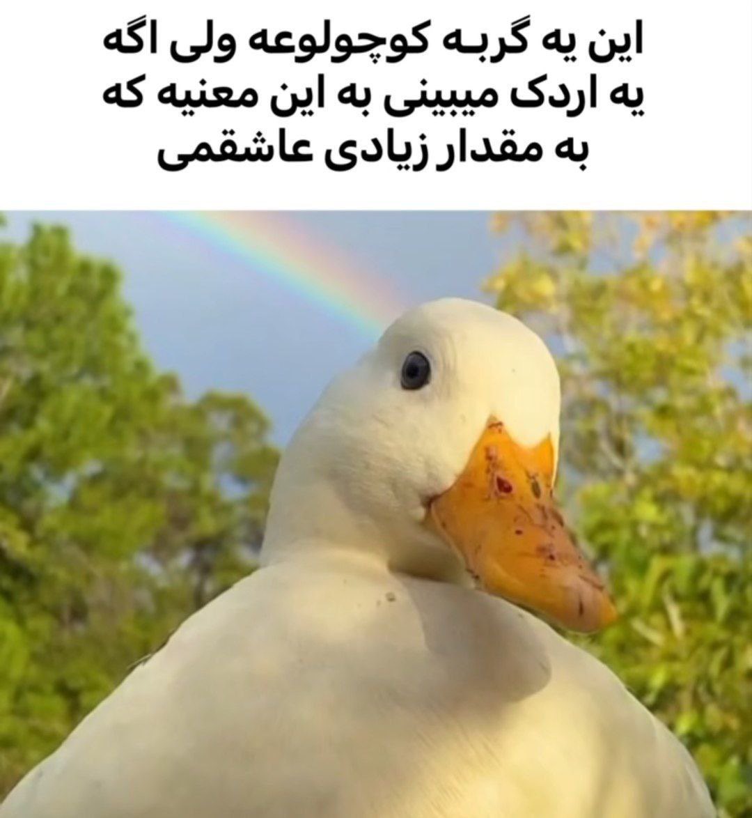 چی میبینی؟🙂