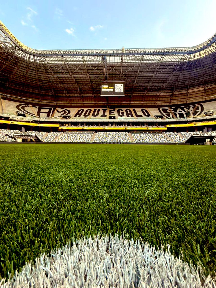 Só quem é Galo tem noção do que o ‘ser Galo’ significa. Eles nunca entenderão!!!