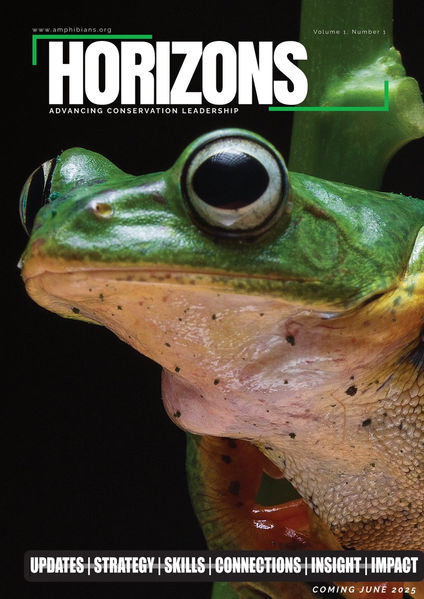 𝗦𝗼𝗺𝗲𝘁𝗵𝗶𝗻𝗴 𝗲𝘅𝗰𝗶𝘁𝗶𝗻𝗴 𝗶𝘀 𝗵𝗼𝗽𝗽𝗶𝗻𝗴 𝘆𝗼𝘂𝗿 𝘄𝗮𝘆!

Horizons is almost here; the official magazine for ASA’s Future Leaders!

Think stories, science, updates, and a splash of career magic.

Don’t croak before you see this.

Stay froggy!.