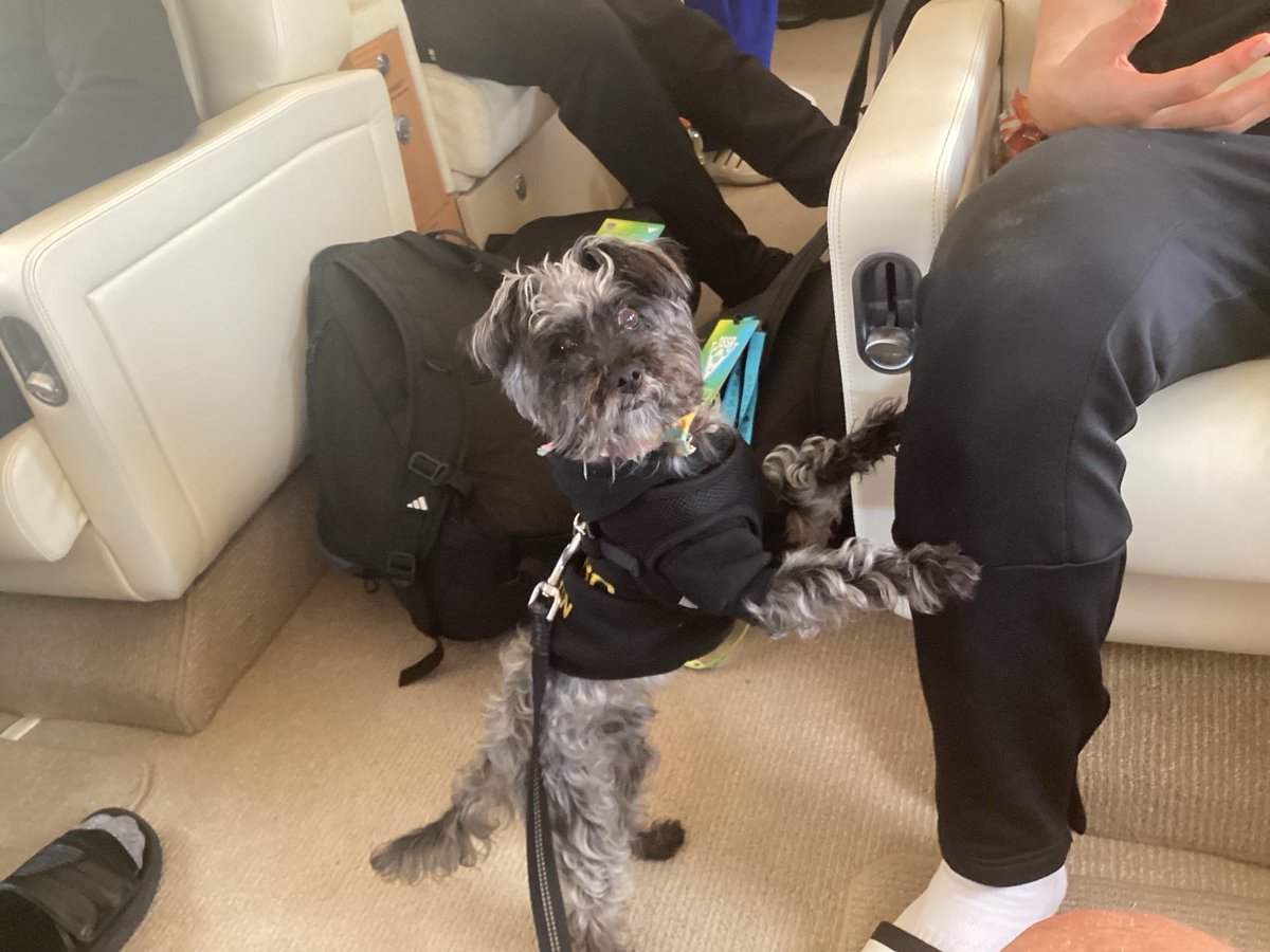 BABC™ (@thebabc) on Twitter photo Captain Cotton Basketball Dog last minute seat check prior to liftoff <a href="/3SSBCircuit/">3Stripes Select Basketball</a> <a href="/Dalbodog/">The Dalbo Dog</a> Captain Cotton Basketball Dog last minute seat check prior to liftoff <a href="/3SSBCircuit/">3Stripes Select Basketball</a> <a href="/Dalbodog/">The Dalbo Dog</a>