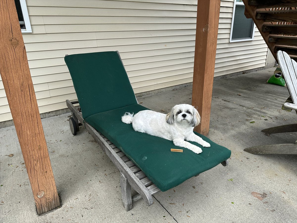 Just a chill Sunday on the back patio … “ruff.”