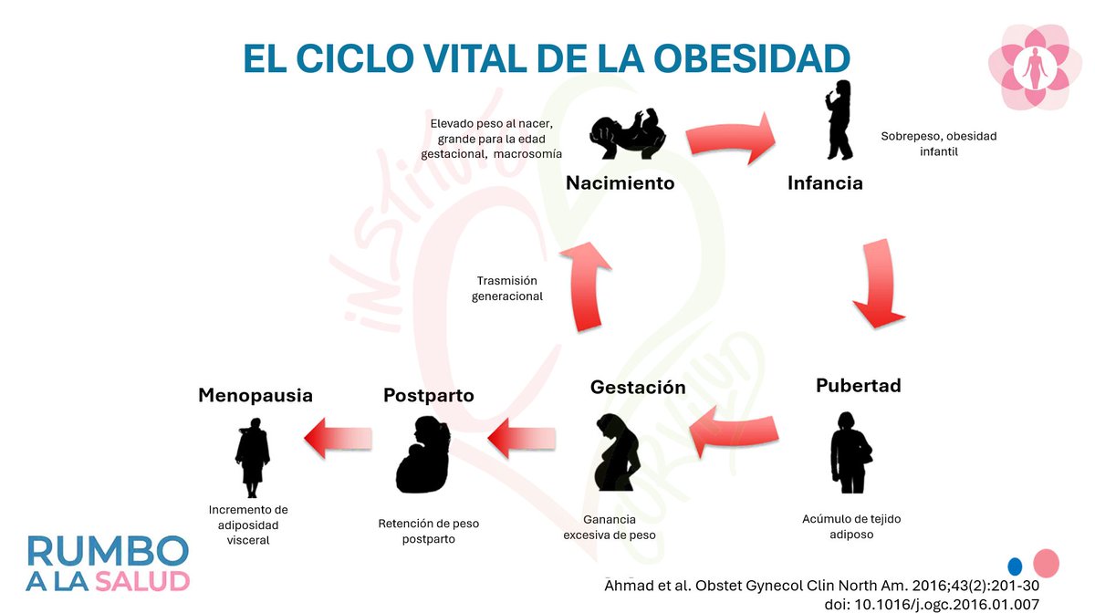 EL CICLO VITAL DE LA OBESIDAD
♀️Composición corporal diferencial
. Hombres vs mujeres
. Transiciones en la vida de la mujer
♀️Atender momentos más vulnerables
♀️Prevenir y abordar según periodo vital
♀️Abordar descendencia en riesgo (transmisión epigenética/conductual)
#obesity