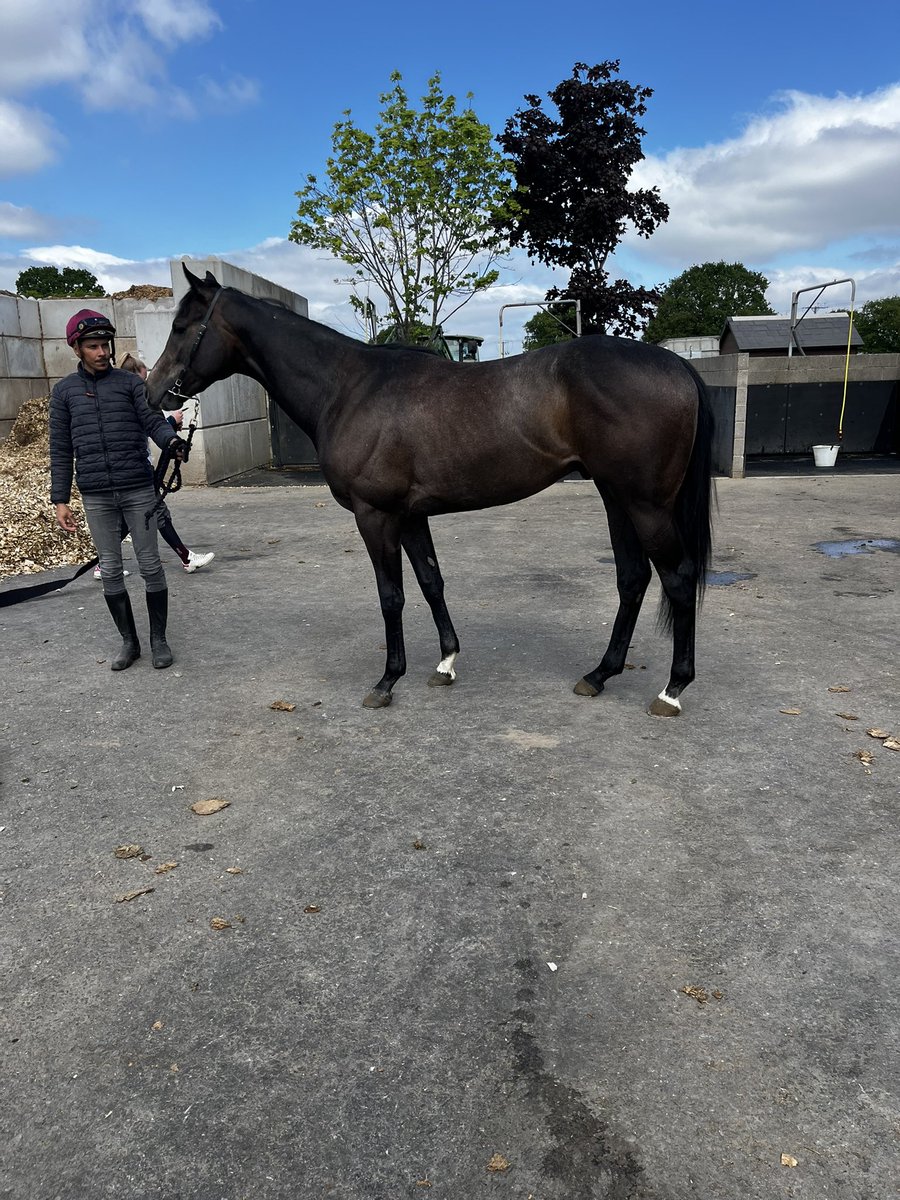 Ontoawinner News 🐎 (@ontoawinnernews) on Twitter photo 🏇 St Mark’s Basilica 2yo Colt
Purchased at the recent Tattersalls Breeze-Up Sale. 🚀
We believe he has all the right credentials to progress quickly.
He will be trained by <a href="/ivanfurtado21/">Ivan Furtado Racing</a> <a href="/EboracumRacing/">Eboracum Racing</a>
Get in touch now to secure your share 👇
ontoawinner.net/syndicate/st-m… 🏇 St Mark’s Basilica 2yo Colt
Purchased at the recent Tattersalls Breeze-Up Sale. 🚀
We believe he has all the right credentials to progress quickly.
He will be trained by <a href="/ivanfurtado21/">Ivan Furtado Racing</a> <a href="/EboracumRacing/">Eboracum Racing</a>
Get in touch now to secure your share 👇
ontoawinner.net/syndicate/st-m…