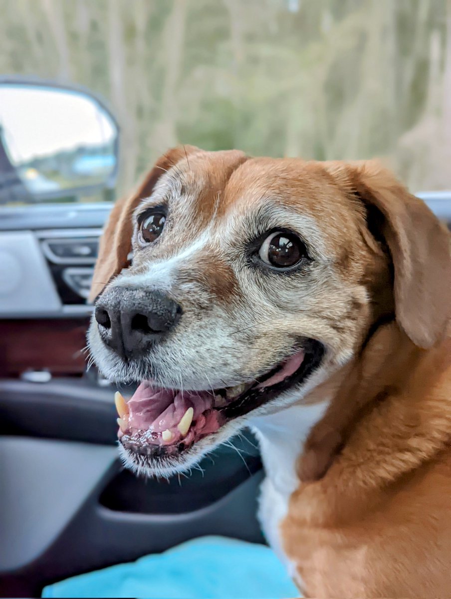 Richard Seroter tweet media