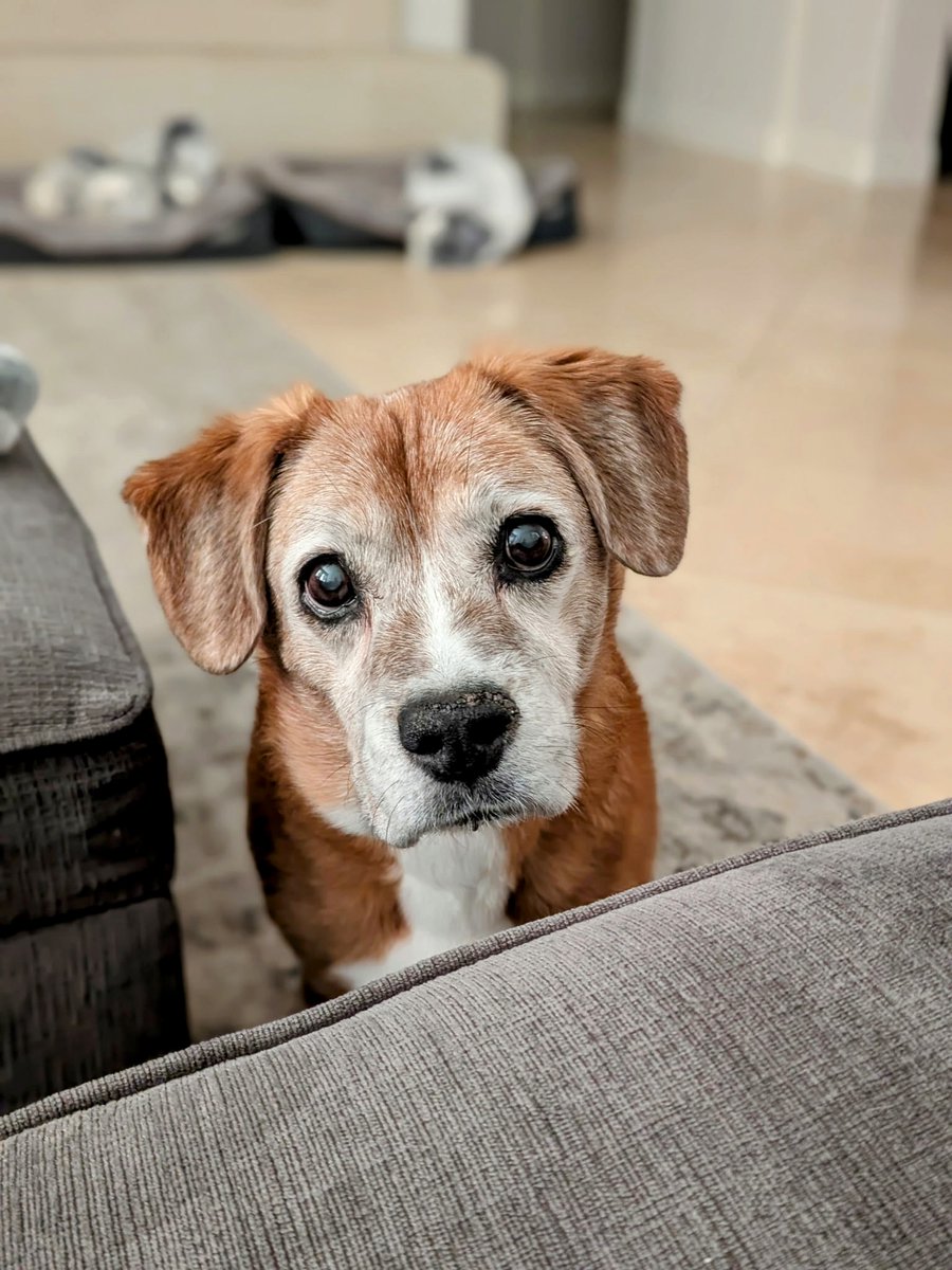 Richard Seroter tweet media