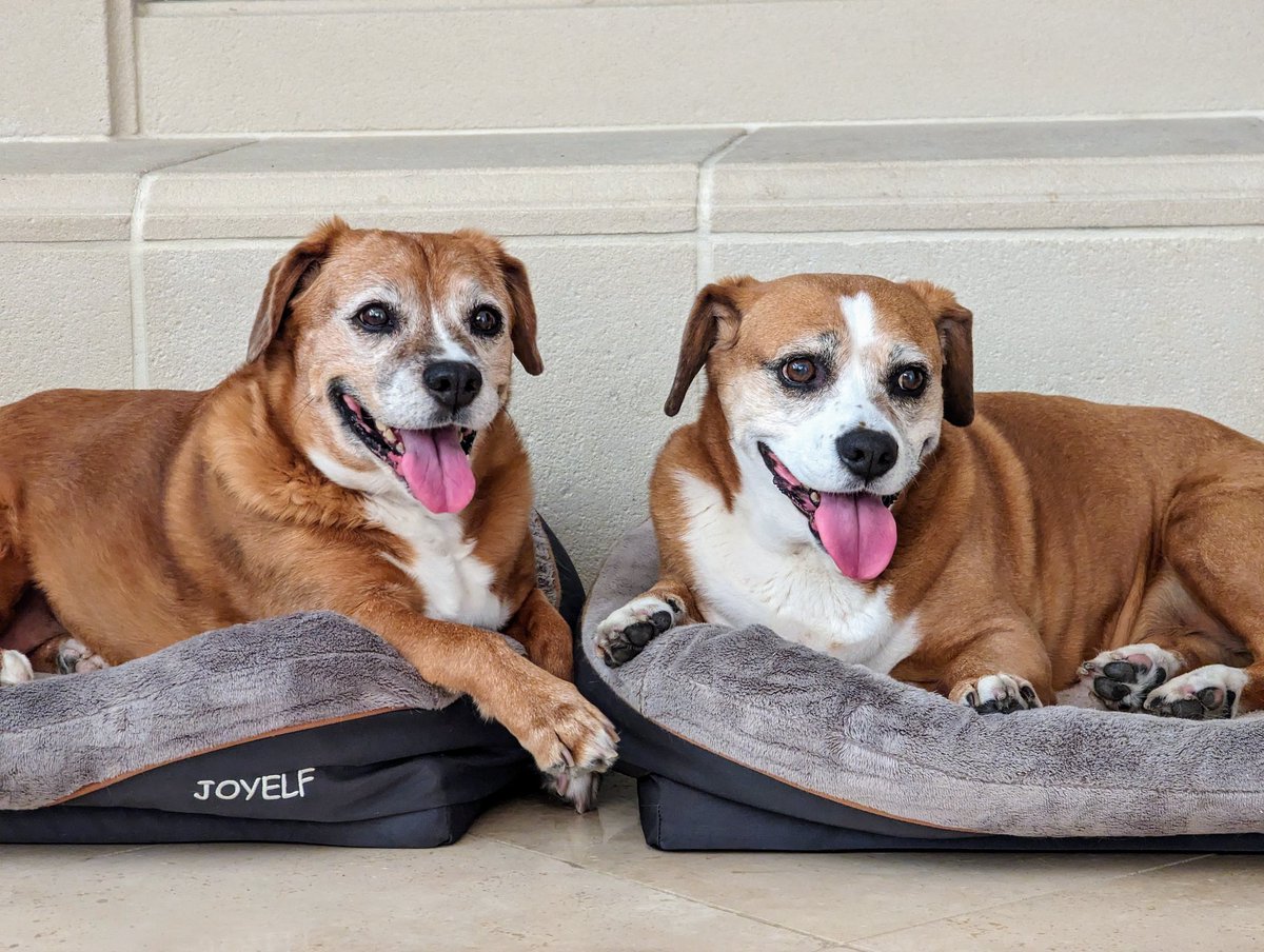 Richard Seroter tweet media