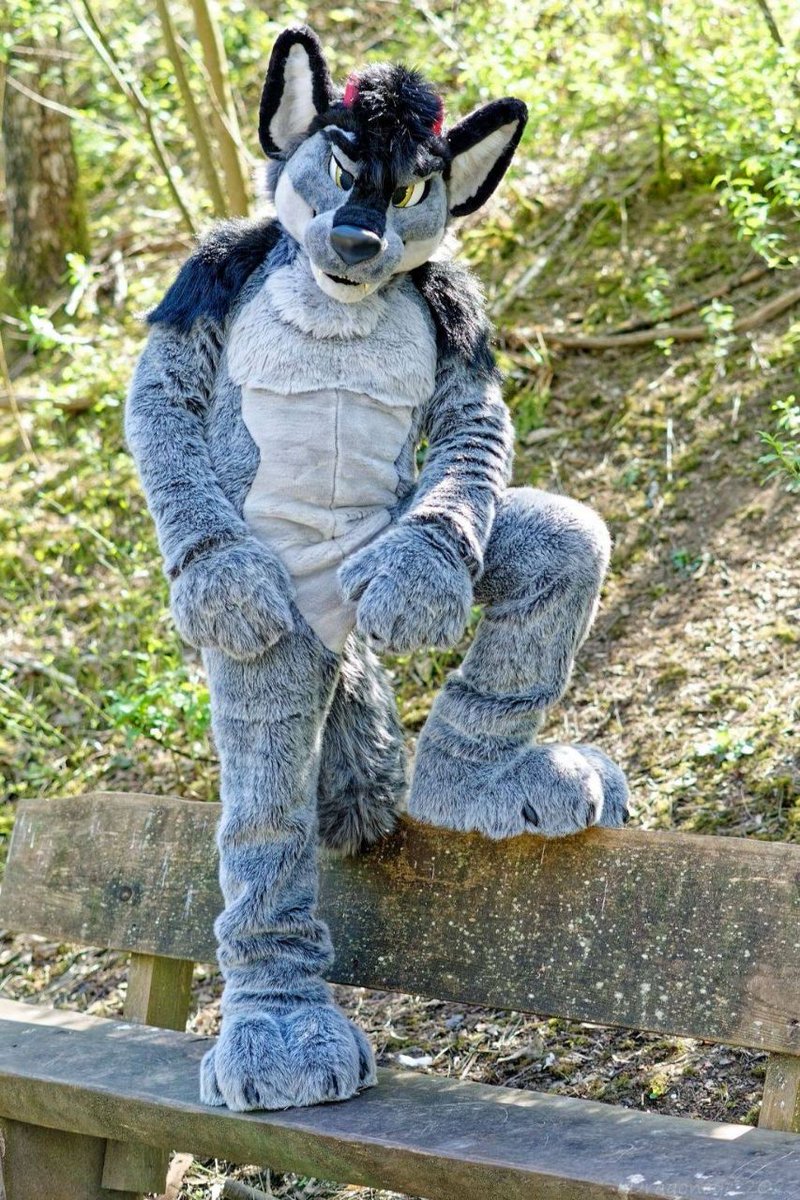 Serving looks, judging humans, and absolutely owning this bench.
📸 <a href="/weiser_melanie/">Dragoneye</a>