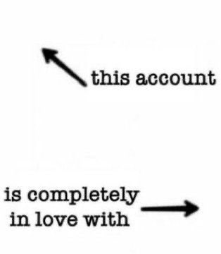 Melocoton ⌛️ tweet media