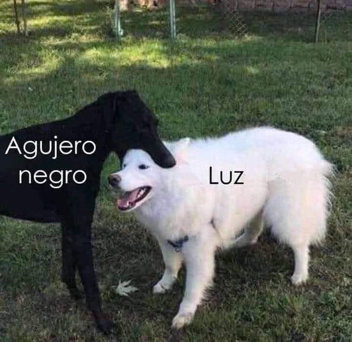 Marihoselibre's tweet image. Descripción gráfica de un Agujero Negro absorbiendo luz  #interesante #humor 🤣