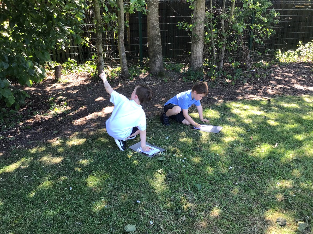StJBoscoYear1's tweet photo. Our new Science topic is all about plants. We have enjoyed planting our own seeds and hunting for wild flowers around our school 🌱🪻@StJBoscoYear1 https://t.co/0sooAFAcIy
