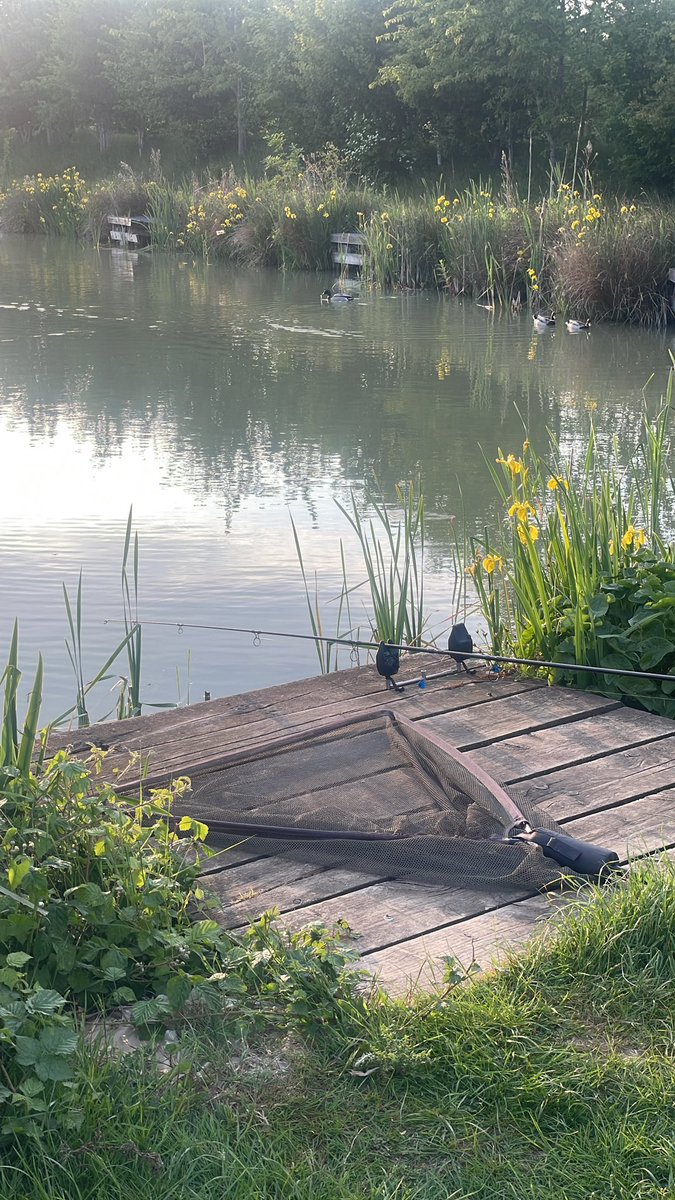 Couple of hours into darkness after a busy weekend at work 🤞🎣

#carpfishing #fishing #fishingtrip