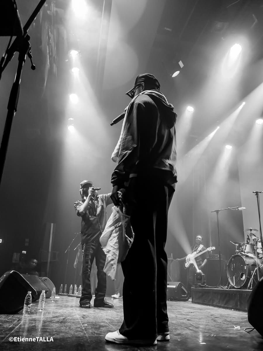 PONGO IS OUT tweet media