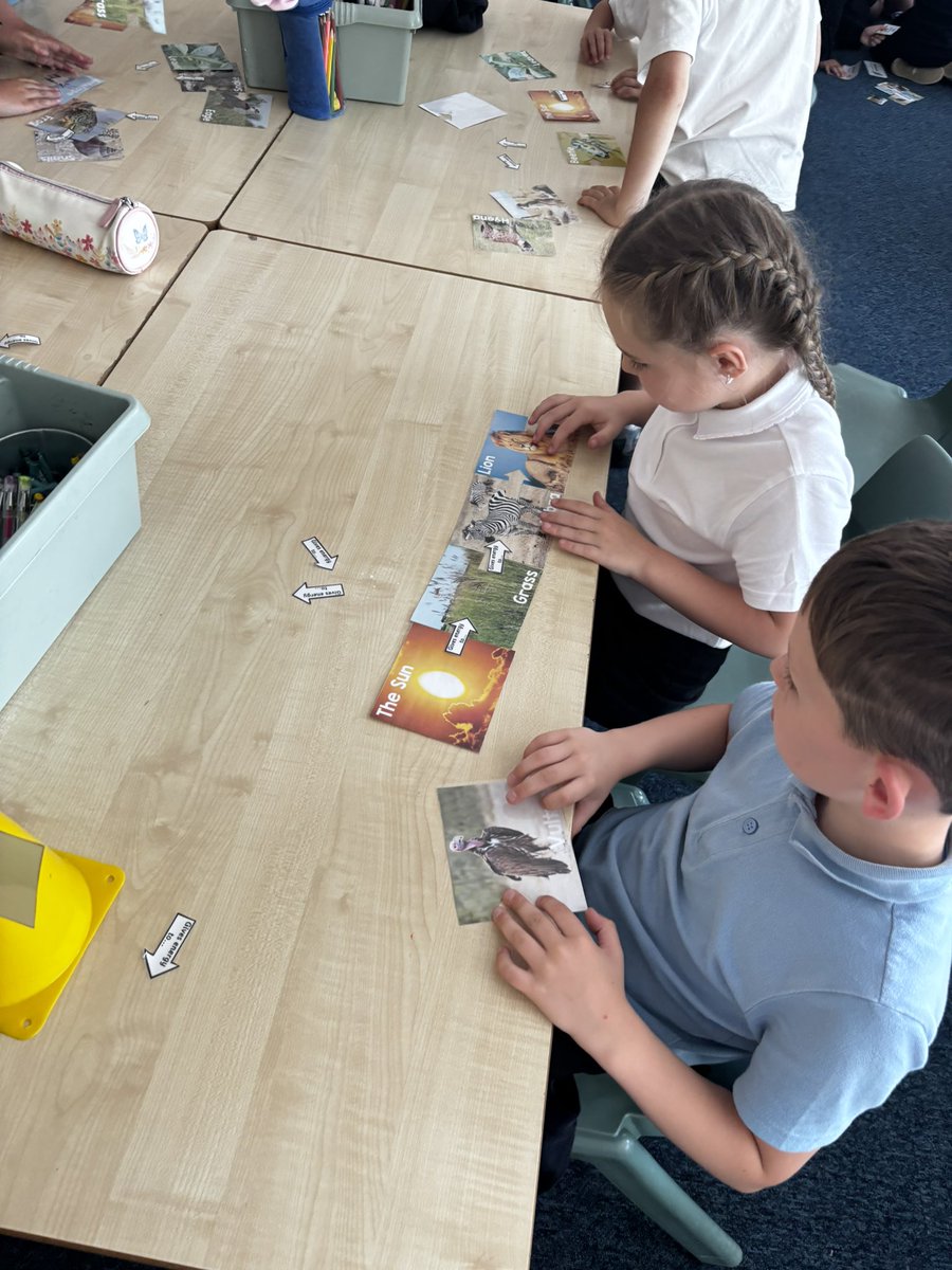MissDochertySTA's tweet photo. Last week, we explored food chains in the African savanna 🌍🦁we played, investigated, and used our meta skills to understand their global importance. Linking to Laudato Si', we learned why it's our job to protect them for the future. 🌱🌿 #Metaskills #GlobalCitizens https://t.co/xtepcvNxyJ