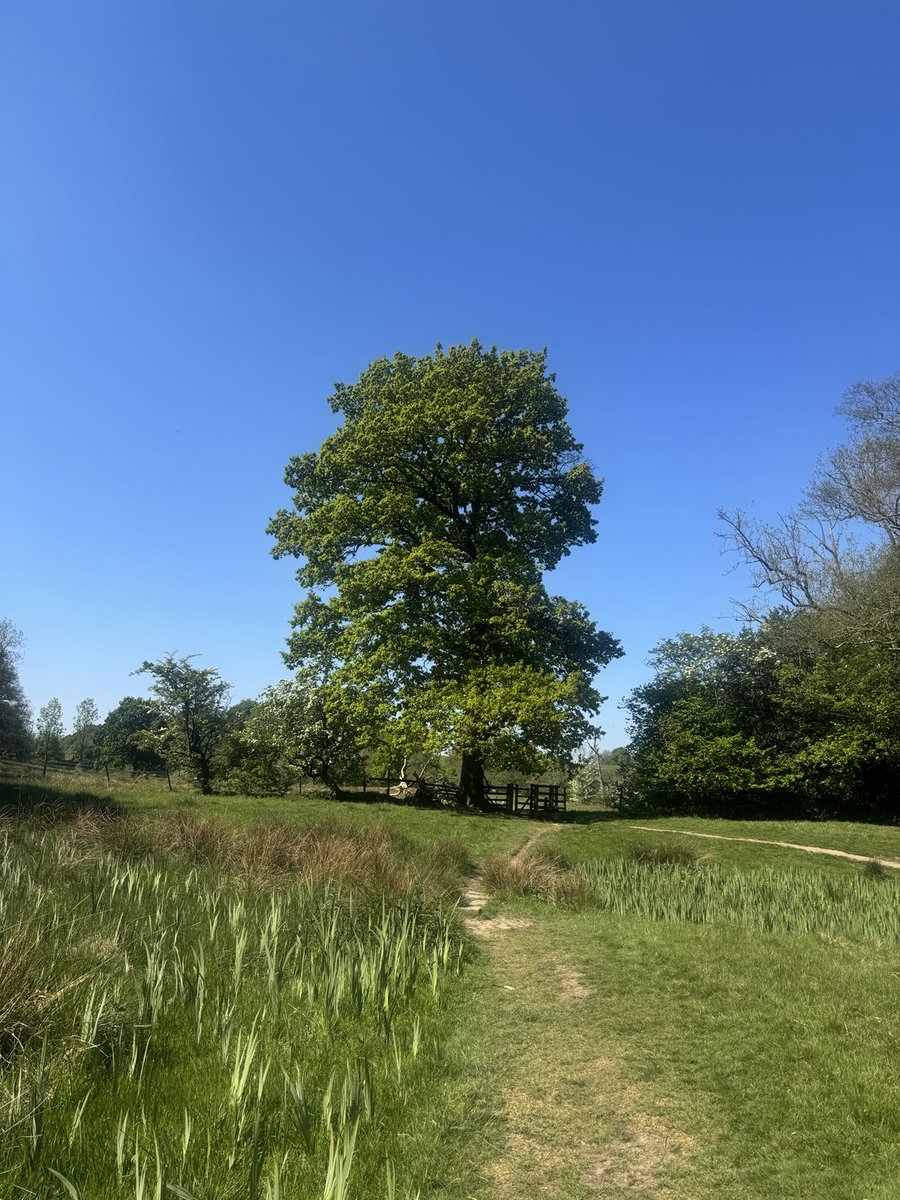 LeshiaSpf73189's tweet photo. 65.13 #nhs1000miles walked this week. 
YTD is 639.81.. https://t.co/AiMD2aGomY