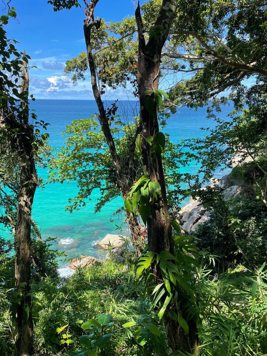 itsjuxii's tweet photo. 🏖️ https://t.co/3ly6WX13nA