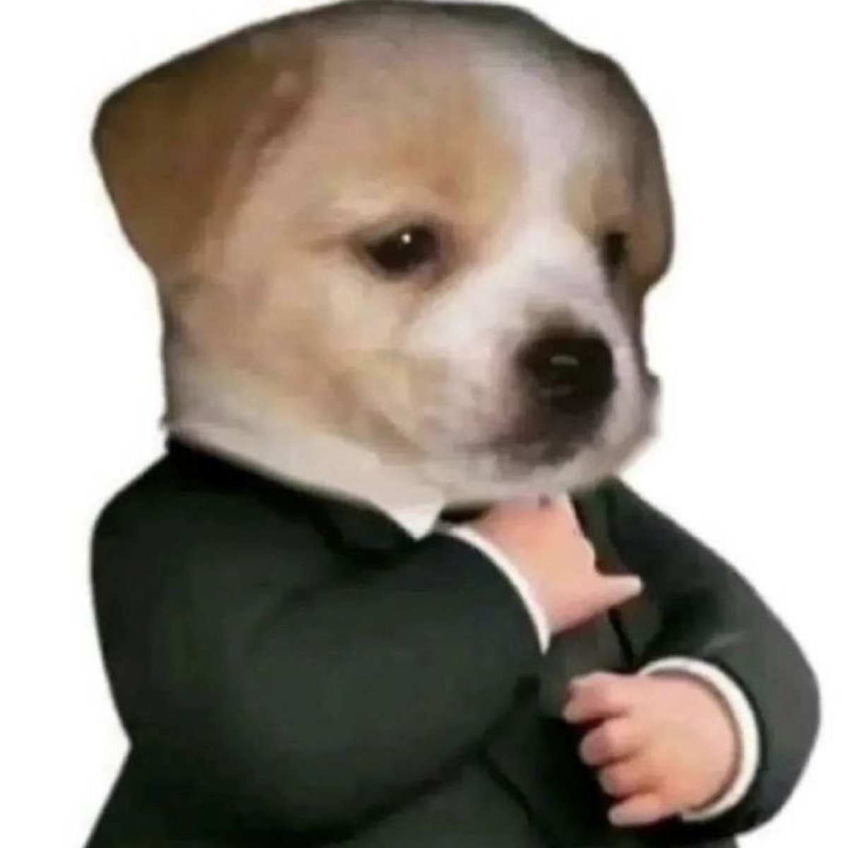 아니 진심 개똑같애 이게안웃기냐고