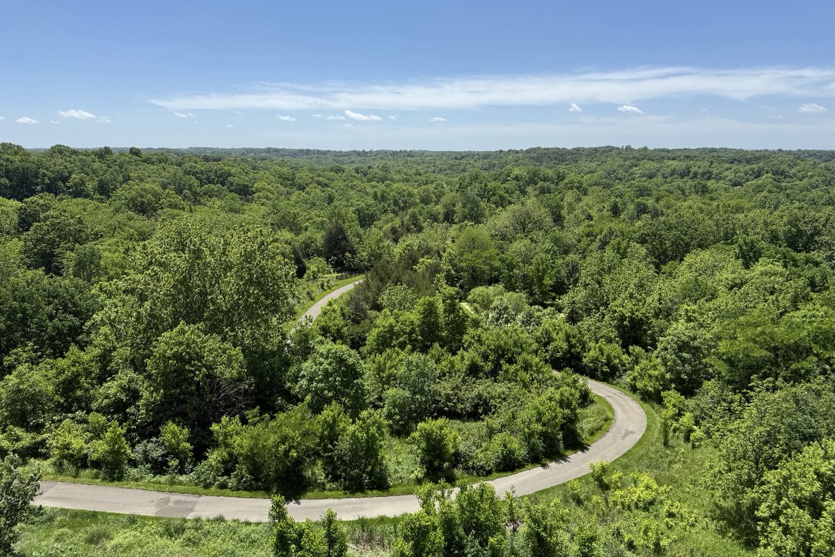 Sam Oldenburg tweet media