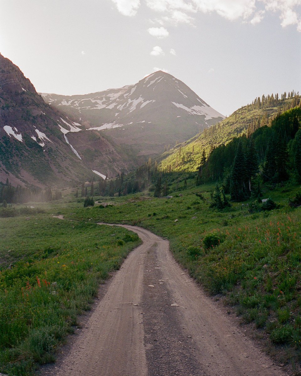 Portra Papi tweet media