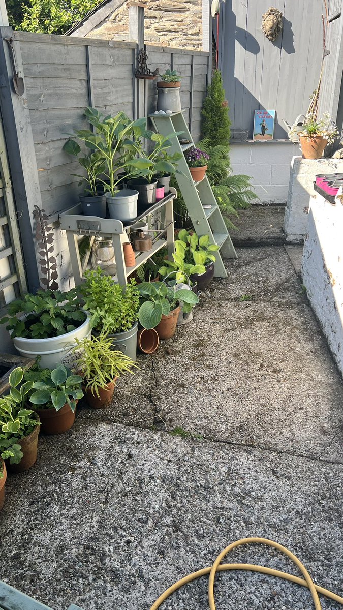 Sarah Parry tweet media