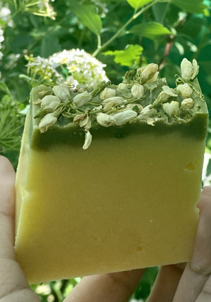 Strendō tweet media