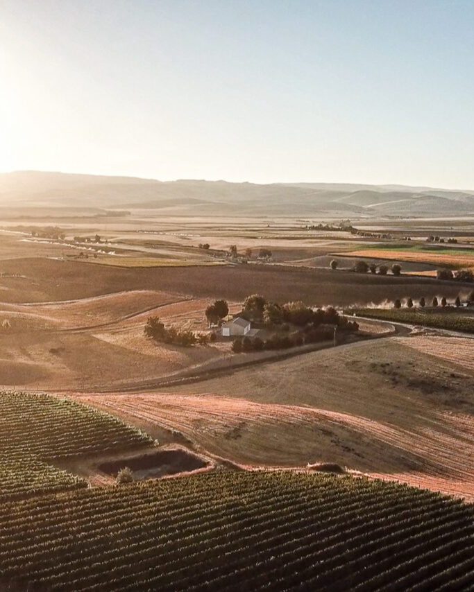Encompassing more than a quarter of the state, the #ColumbiaValley AVA is by far Washington’s largest growing region at 11+ million acres. It is home to over 99% of all of Washington’s #vinifera acreage and is one of Washington's three cross-border AVAs.