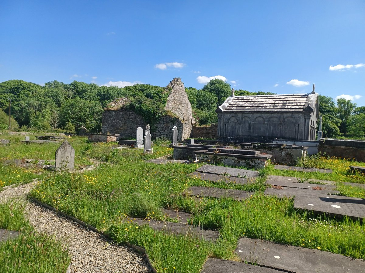 HaulieMalo's tweet photo. Church of Ireland, #Kilrush now Teach Ceoil (music house) built on the ruins of the Church in the Woods (Cill Rois) Vandaleur tomb &amp; turret House to Vandeleur Walled Garden &amp; Visitor Centre. https://t.co/ieDjWQOgg8 https://t.co/9kEX8ijg1f