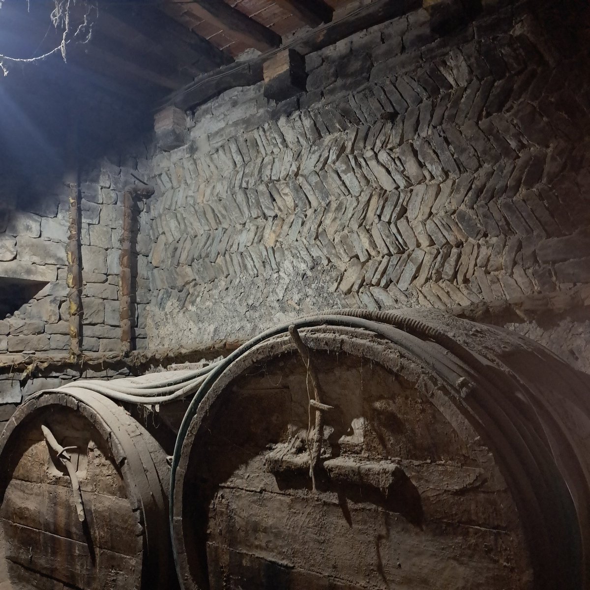 La Caçadora de Masies tweet media