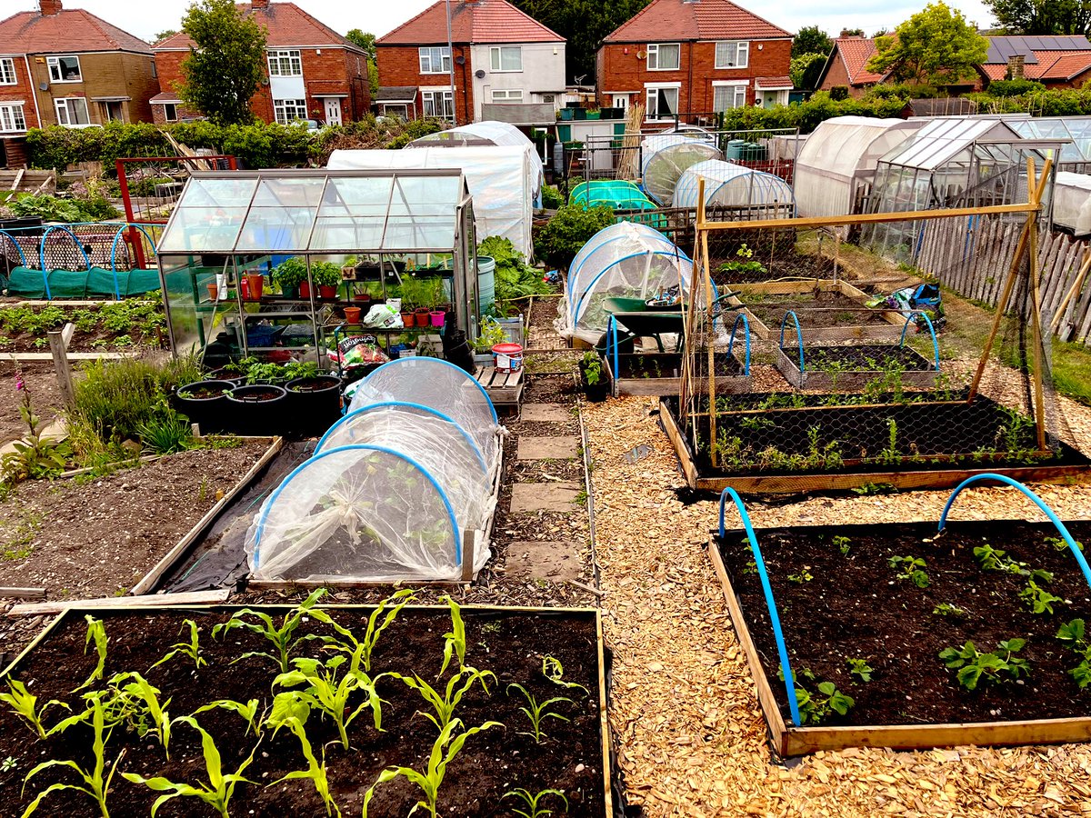 Some great time up the Allotment today, got so much done. 

Planted out

Cucumbers 🥒 
Cauliflower 🥬 
Pumpkin 🎃 
Squashes 
Basil 🌿 

#GardenersWorld #GrowTogether #Allotment #GrowYourOwn