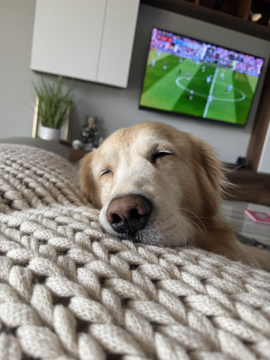 New YT video today at 5:00 pm EST