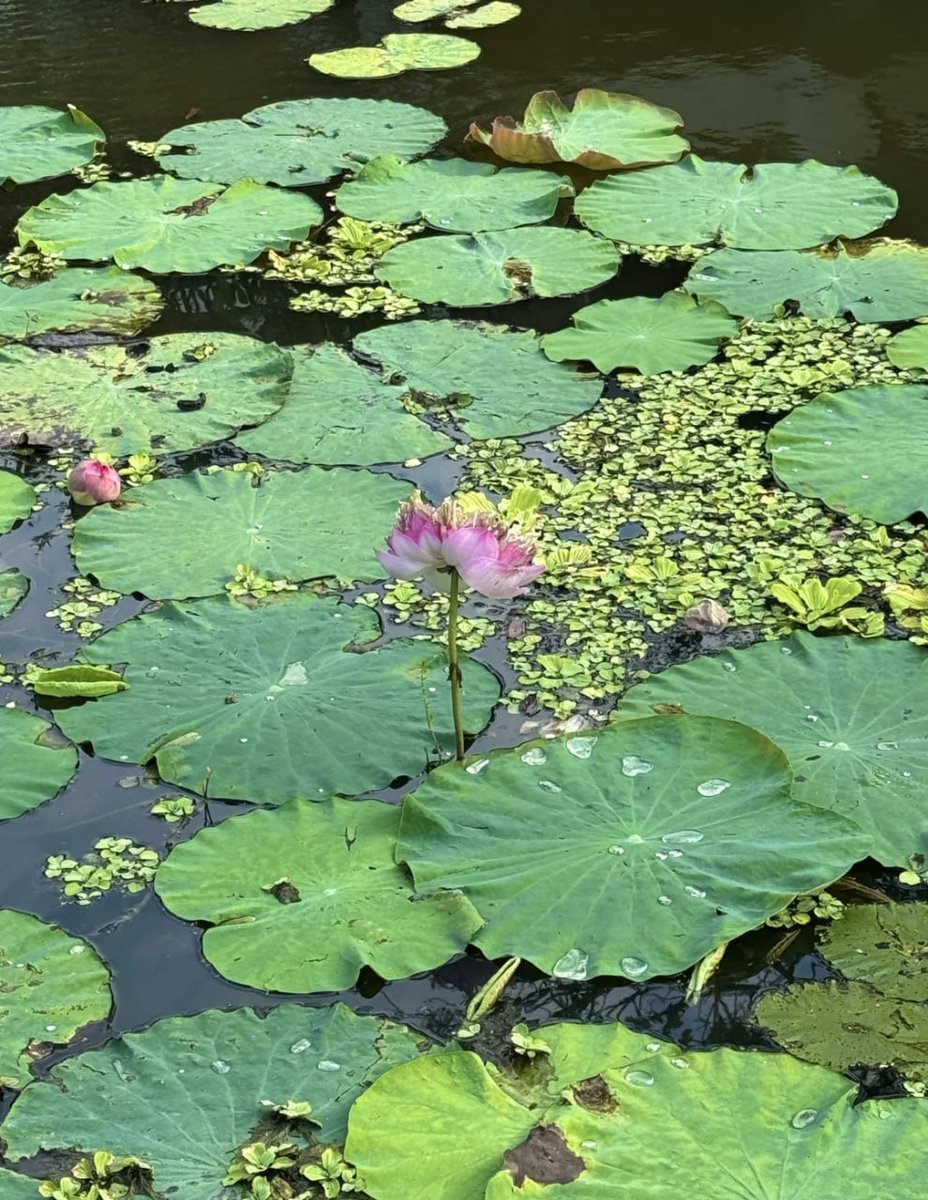 I like to soak in the golf course, feel the vitality of nature, absorb the energy of the sun, plants and earth, cultivate my mind, cultivate my character, and exercise my endurance, willpower, concentration, spiritual strength. A strong heart is a person's core competitiveness.