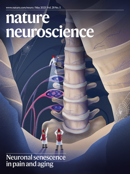 Akshay Pujari (@el_akshay) on Twitter photo Sharing the latest from <a href="/NatureNeuro/">Nature Neuroscience</a> journal:
Our computational work at <a href="/LifeRubedo/">Rubedo Life Sciences</a> in collaboration with leading scientists from <a href="/StanfordMed/">Stanford Medicine</a> is featured on the cover.
Grateful for the opportunity to contribute to such impactful work in a small capacity.
nature.com/articles/s4159⦠Sharing the latest from <a href="/NatureNeuro/">Nature Neuroscience</a> journal:
Our computational work at <a href="/LifeRubedo/">Rubedo Life Sciences</a> in collaboration with leading scientists from <a href="/StanfordMed/">Stanford Medicine</a> is featured on the cover.
Grateful for the opportunity to contribute to such impactful work in a small capacity.
nature.com/articles/s4159ā¦