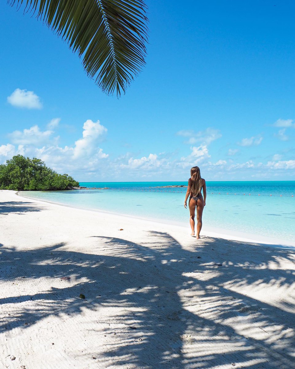 TheMexCaribbean's tweet photo. #IslaContoy: an ethereal escape 🏝️
If your idea of a vacation involves spending the day on an untouched island far away from it all, this is the place for you! 🥰
IG: teakohic
#MexicanCaribbean #TheSignatureParadise https://t.co/IYa6YNNnXU