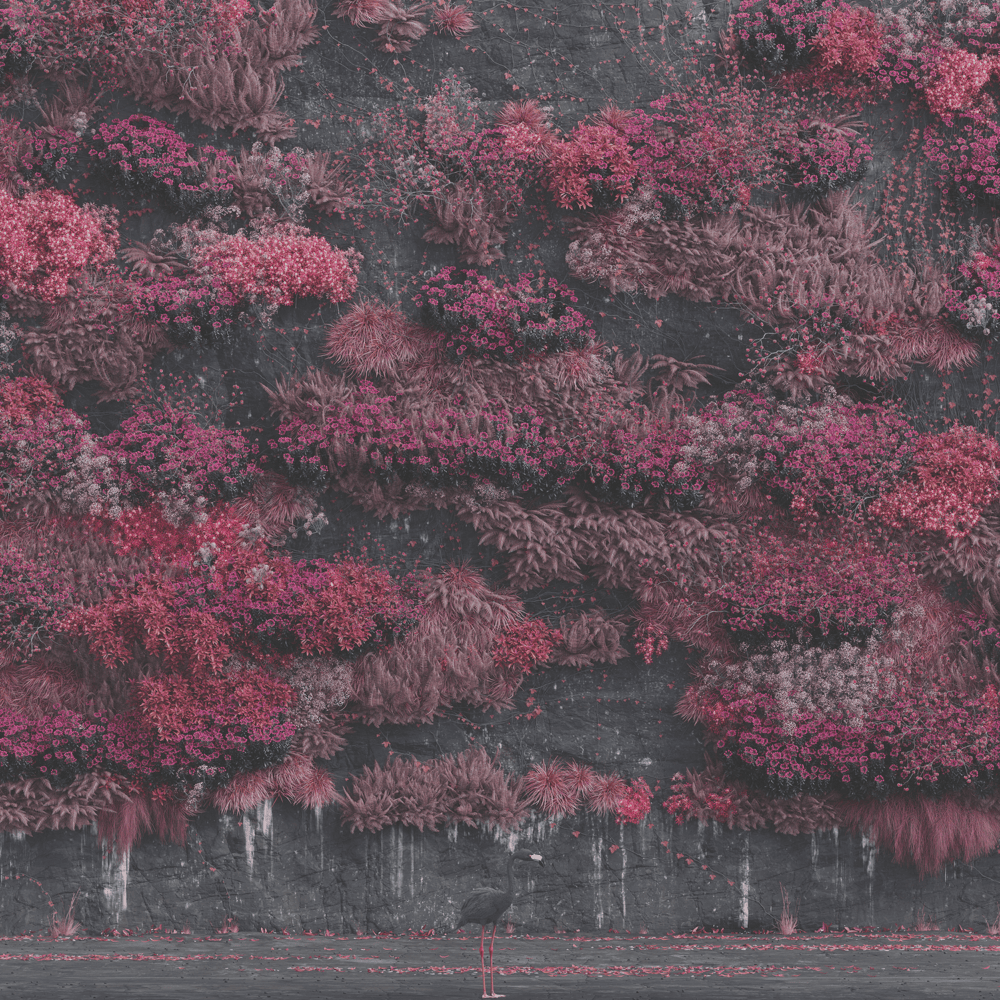 chart data tweet media