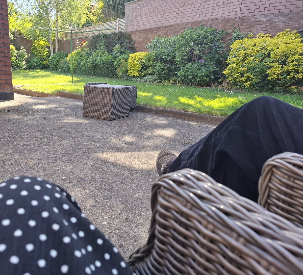 Sunny Sunday chats
<a href="/ALONE_IRELAND/">ALONE</a>