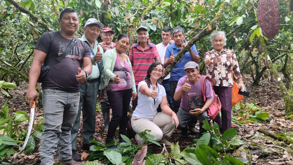 Agricultura_CZ2's tweet photo. #Orellana|🍫¡Capacitamos a productores de cacao en la comunidad 10 de Noviembre, Joya de los Sachas!
Con APROCAS fortalecemos el manejo integrado de cultivos, control biológico y podas.
¡Más cacao, menos plagas!
#MAGContigo #CacaoEcuatoriano
#ElNuevoEcuadorResuelve🇪🇨 https://t.co/tO3kfBsVek