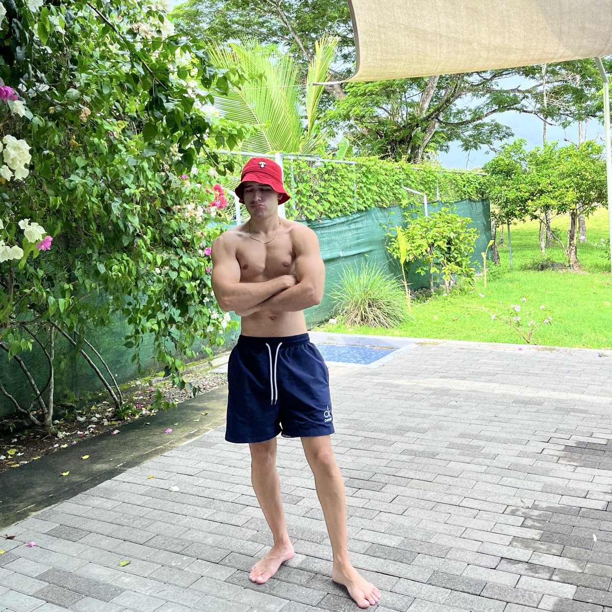 Alessandro tweet media