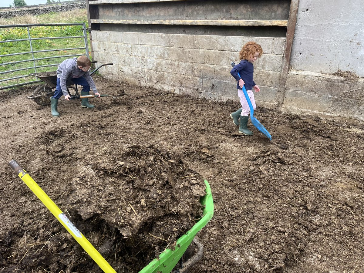bernardsfarmuk's tweet photo. Remember when weekends were weekends? ๐ค Nope, us neitherโฆ ๐ ๐ ๐ ๐ ๐ซ
#teamwork #famingfamily #teambernard #firstgenerationfarmers #eatsleepfarmrepeat #uplandfarming #staffordshiremoorlands https://t.co/xzkfYCUEbg