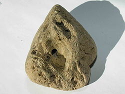 anatoetabio's tweet photo. Ba al zenekien pumita, bere porositate handia dela eta, ur gainean flotatzen duen arroka bolkaniko bakarra dela? Erupzio leherkorretan sortzen da eta bere dentsitate baxuagatik da berezia. 🌋🪨 #bolkanismoa #geology https://t.co/CbzFSpZbJ6