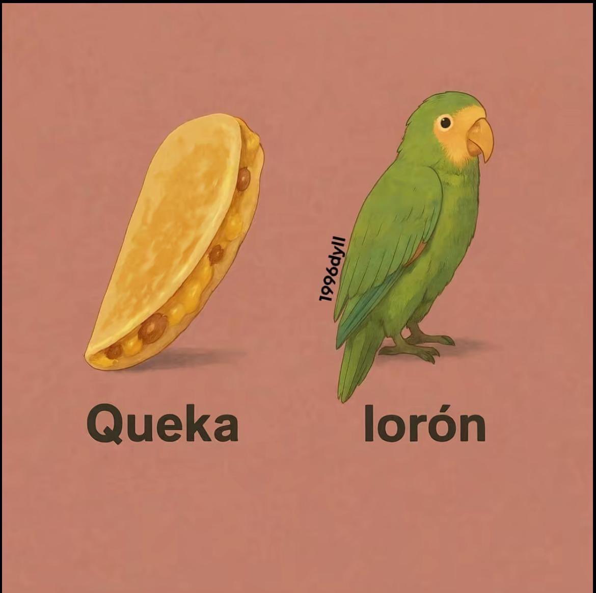 Rick 🇲🇽 tweet media