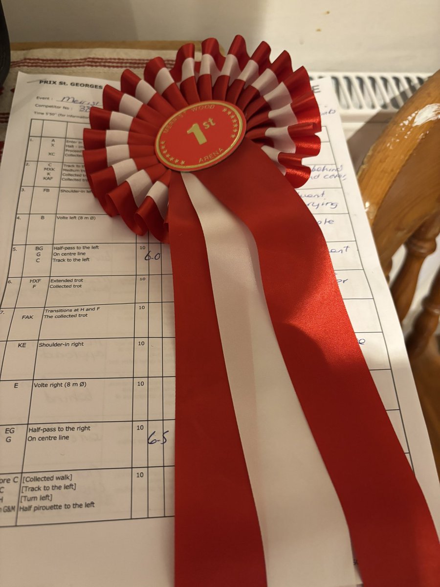JonathanSmith63's tweet photo. To top off an already amazing day with both daughters seeing Danny Care play his last game for Quins, Mrs S and the boy picked up the winnings for their Prix St Georges dressage 🐴🐴🐴 #TeamBone 
So proud of all family ❤️💙 https://t.co/EeFJ24PaQh