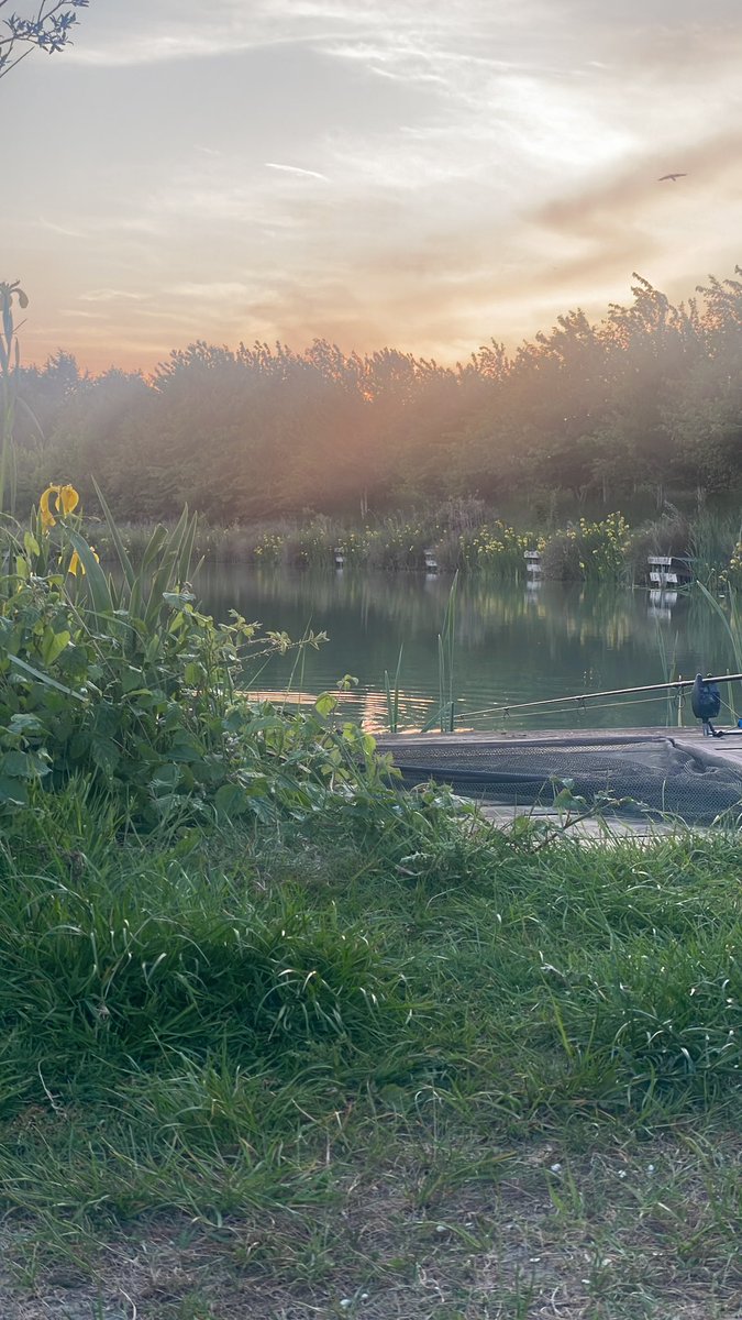 Still blanking 
#ukblankingscene #fishing #carpfishing #fishingtrip #nofilter