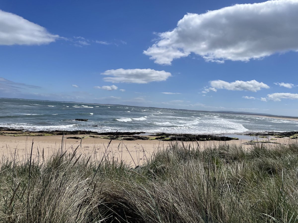 BK Top Golf tweet media