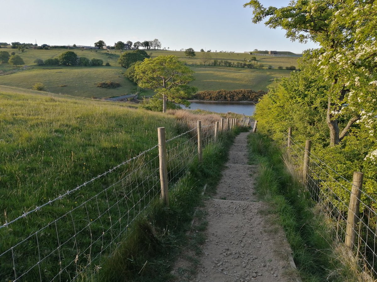 Late #NHS1000miles check in post walk, post night shifts.
For week 2️⃣0️⃣ I completed 26 miles walking. My YTD total is 594 miles and an improvement on miles walked at this stage in 2024. Happy with that!
Here are some pics from sunny countryside near Bury, NW England