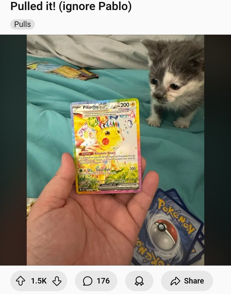 Anthony (@kirbycheatfurby) on Twitter photo 