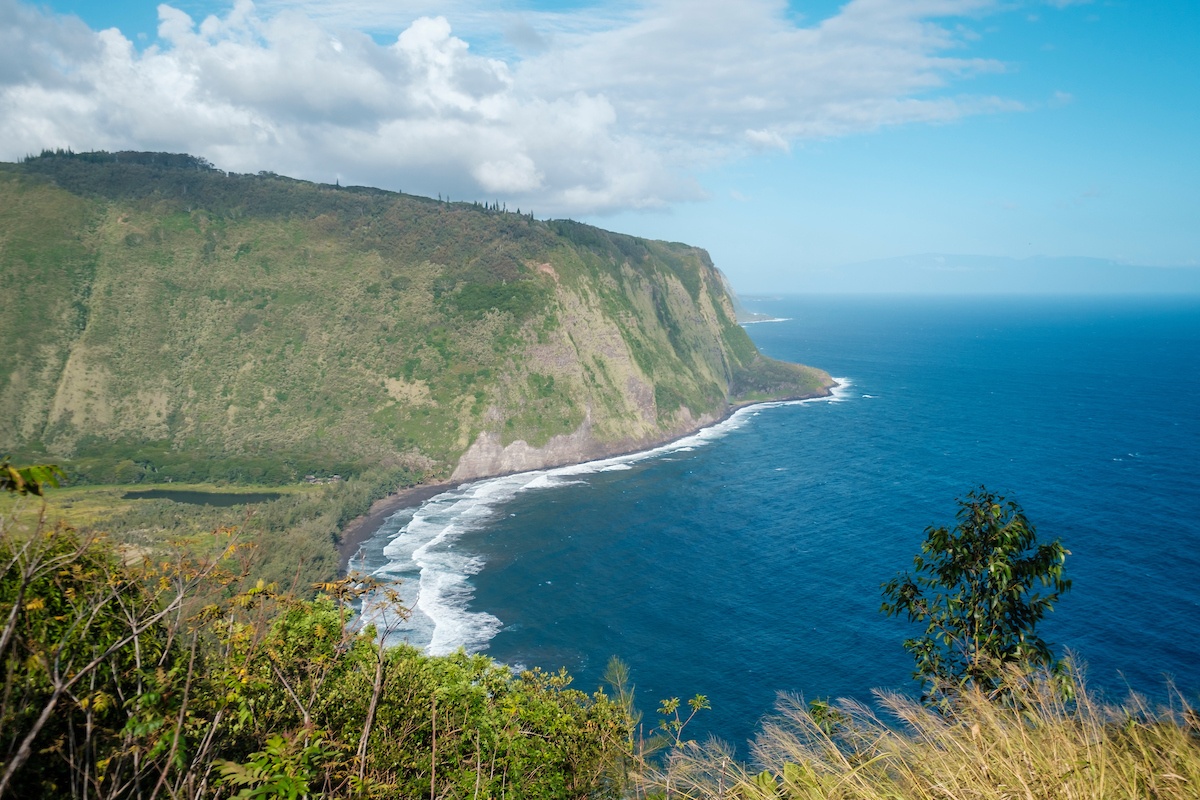 HAWAI'I Magazine tweet media