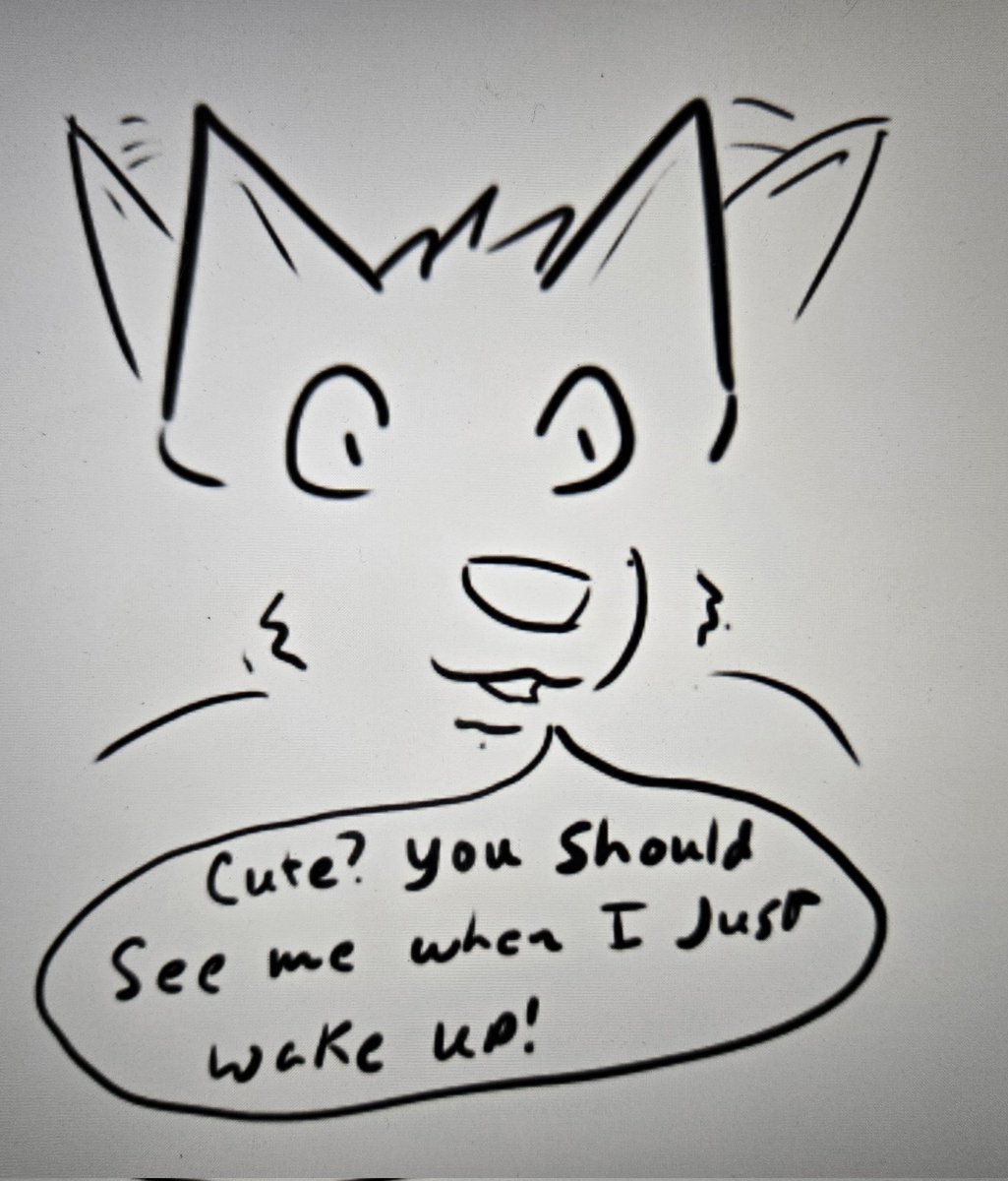 HFops's tweet photo. When you feel cute, but you remember what you saw in the mirror a few hours prior. https://t.co/ye14g4Z0F2