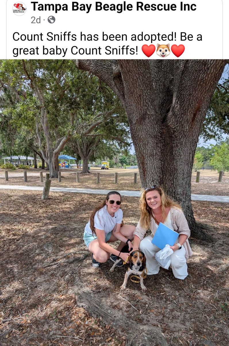 •WolfPunX (@wolfpunxnft) on Twitter photo 