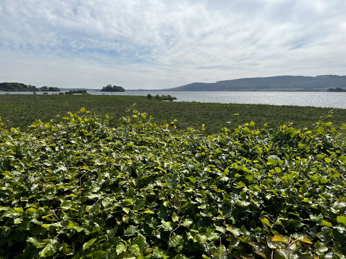 Carole Brunton tweet media