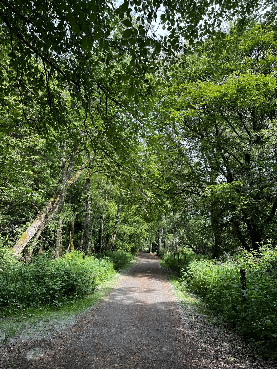 Carole Brunton tweet media