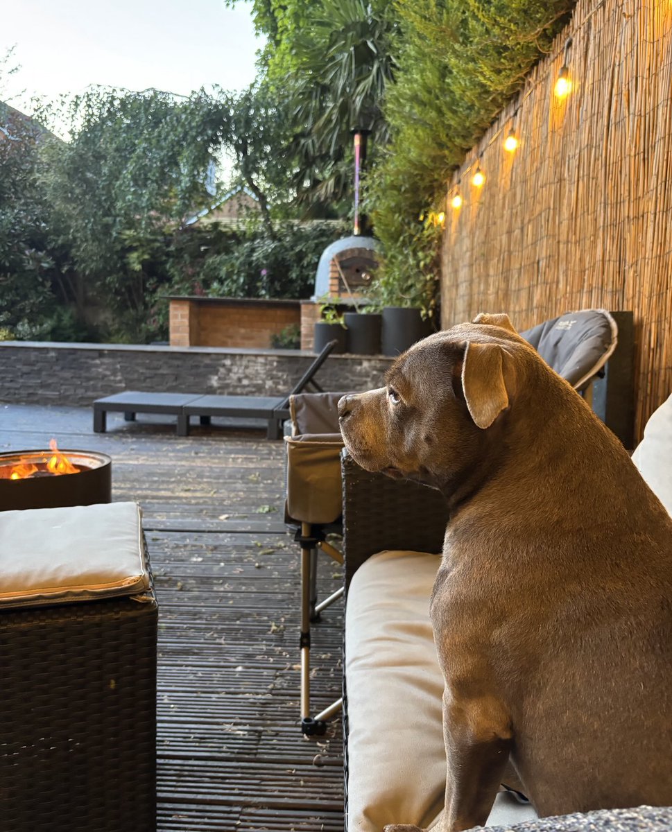 Perfect weekend with my #family #Staffy💜